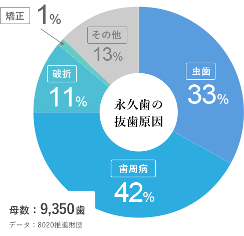 予防・メンテナンス