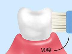 ブラッシング指導